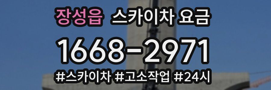 장성읍 스카이차 요금