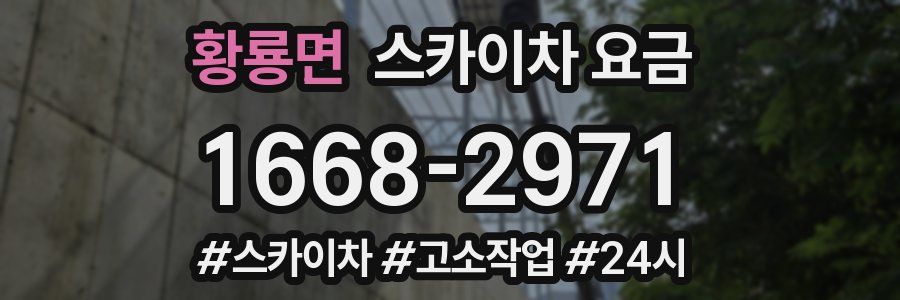 황룡면 스카이차 요금