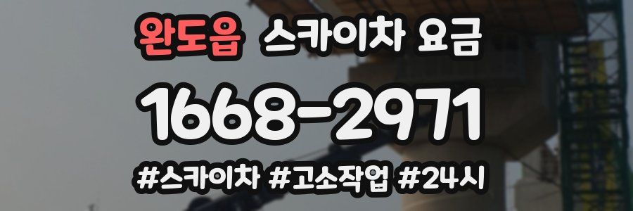 완도읍 스카이차 요금