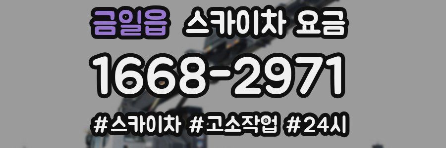 금일읍 스카이차 요금