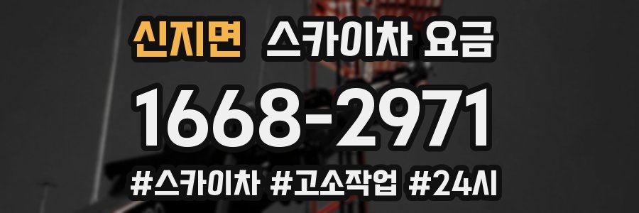 신지면 스카이차 요금
