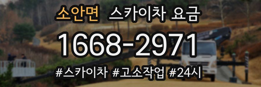 소안면 스카이차 요금