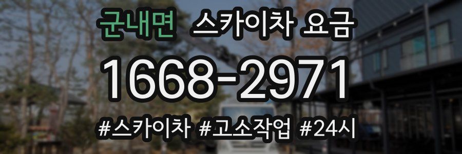 군내면 스카이차 요금