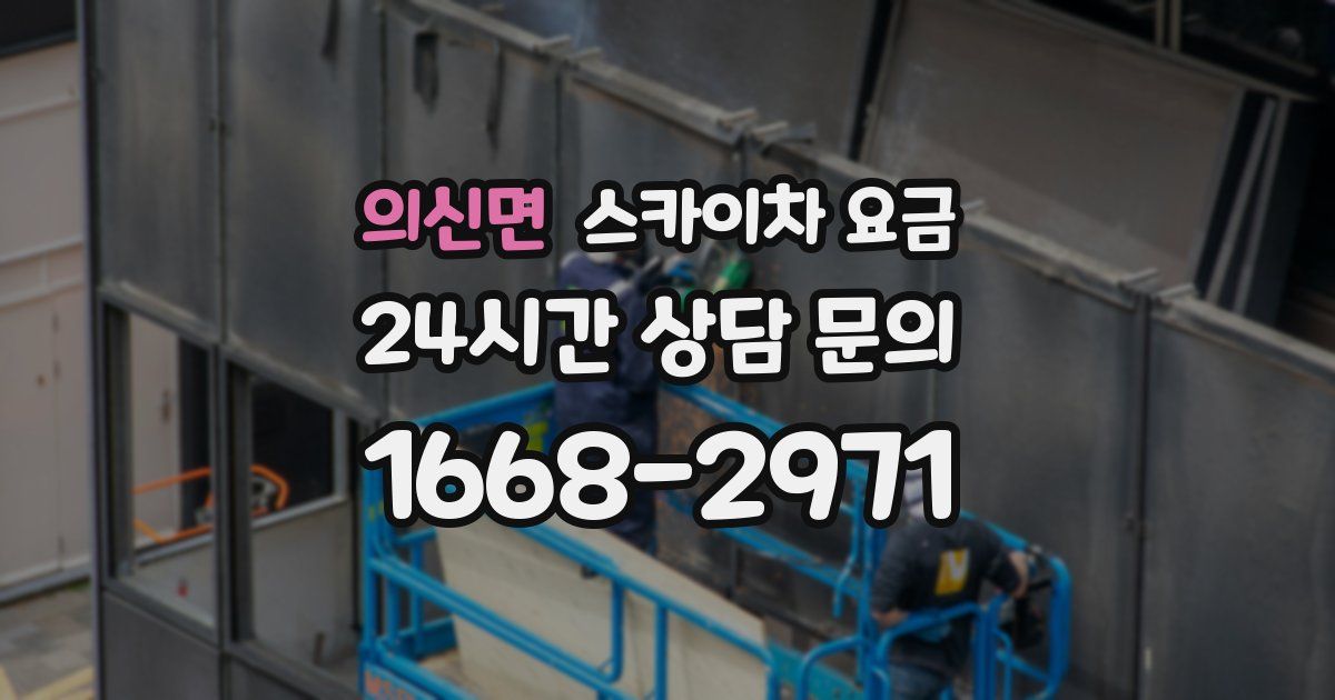 의신면 스카이차 요금