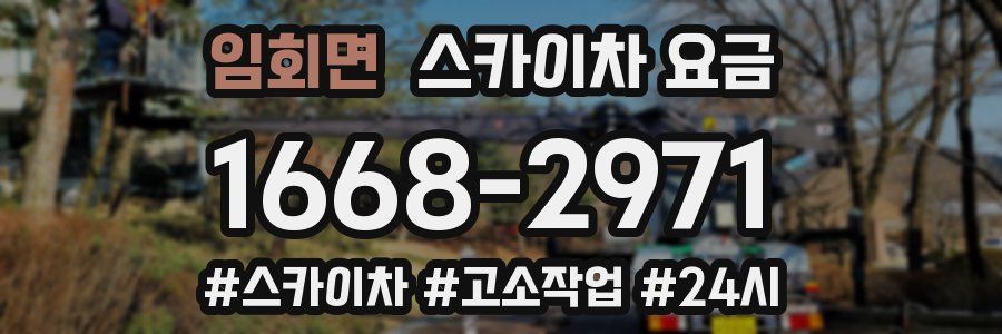 임회면 스카이차 요금