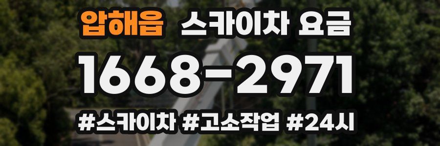 압해읍 스카이차 요금