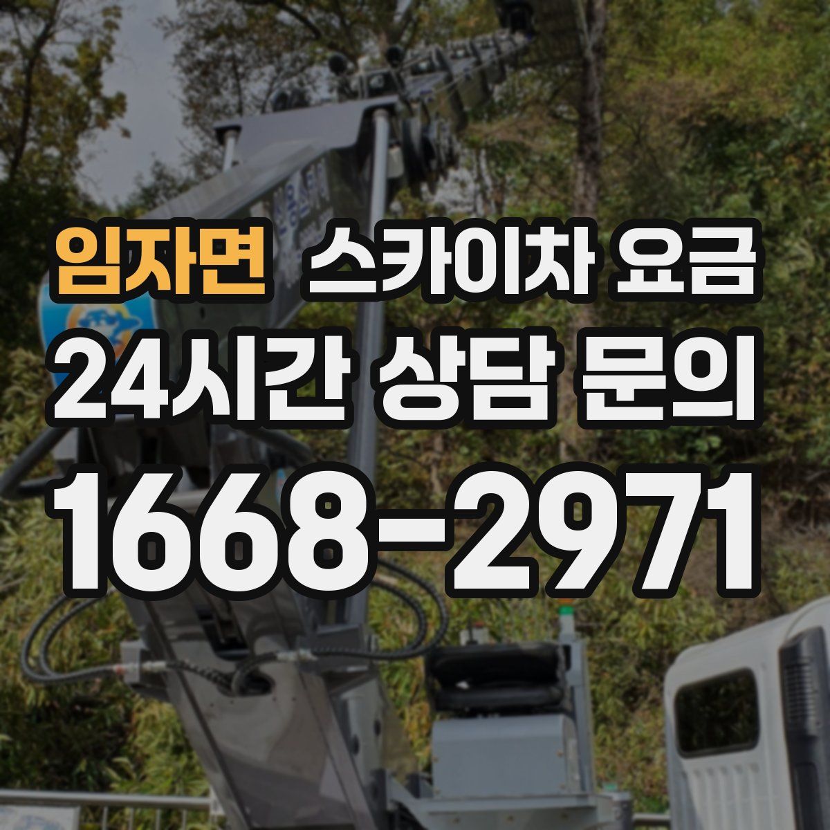 임자면 스카이차 요금