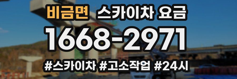 비금면 스카이차 요금