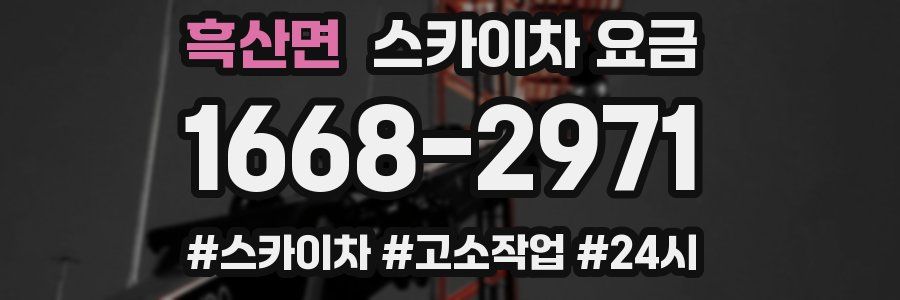 흑산면 스카이차 요금