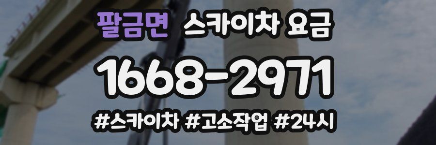 팔금면 스카이차 요금