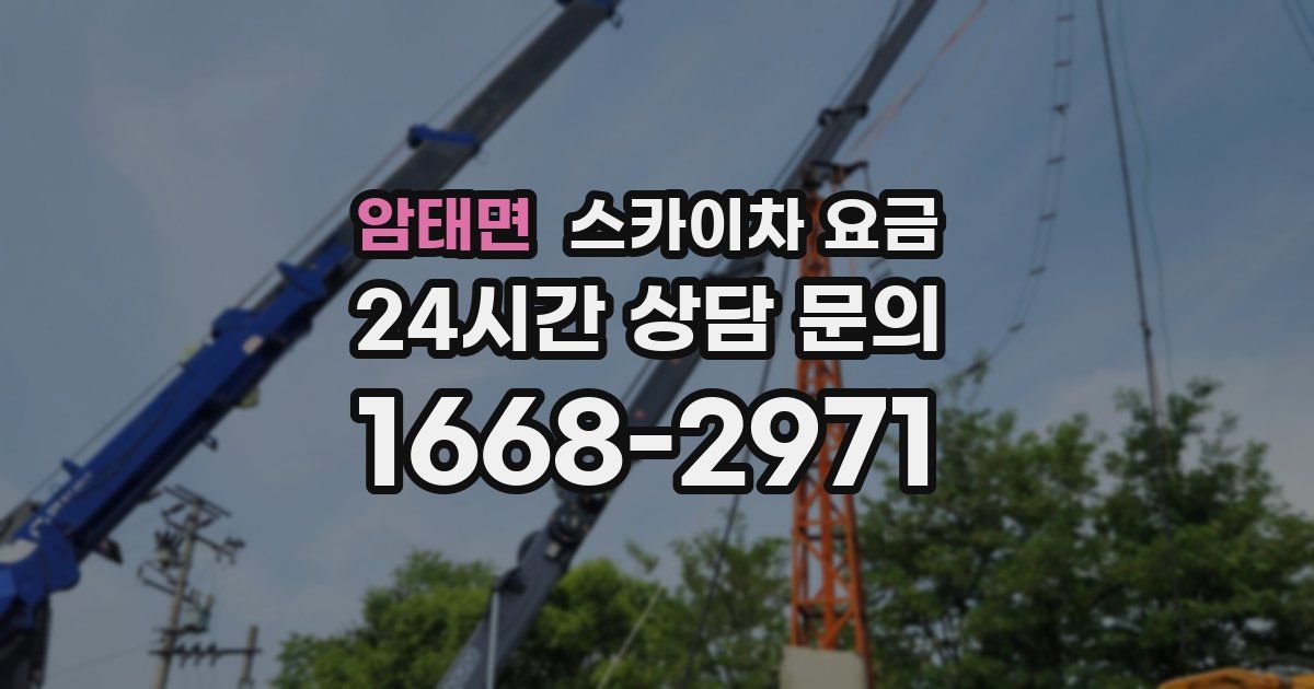암태면 스카이차 요금