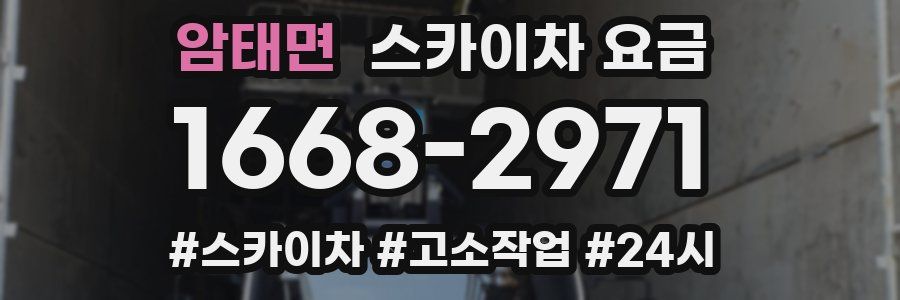암태면 스카이차 요금