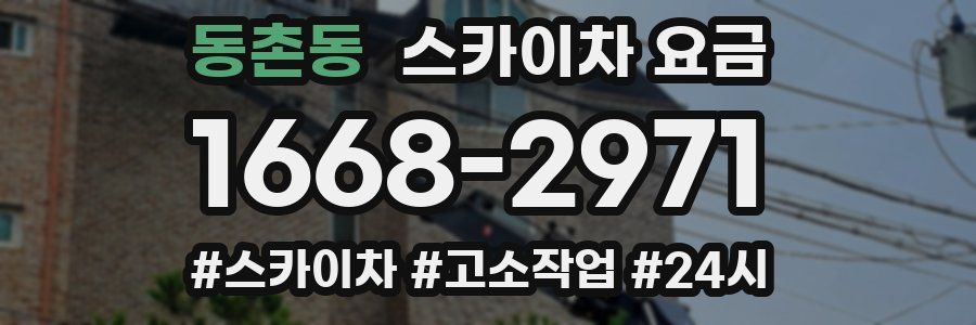 동촌동 스카이차 요금