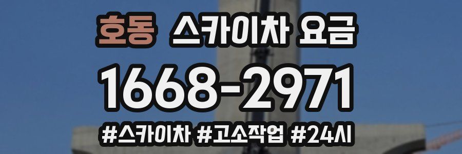 호동 스카이차 요금