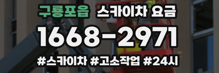 구룡포읍 스카이차 요금