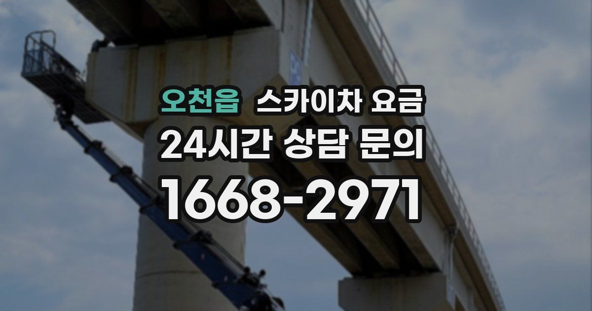 오천읍 스카이차 요금