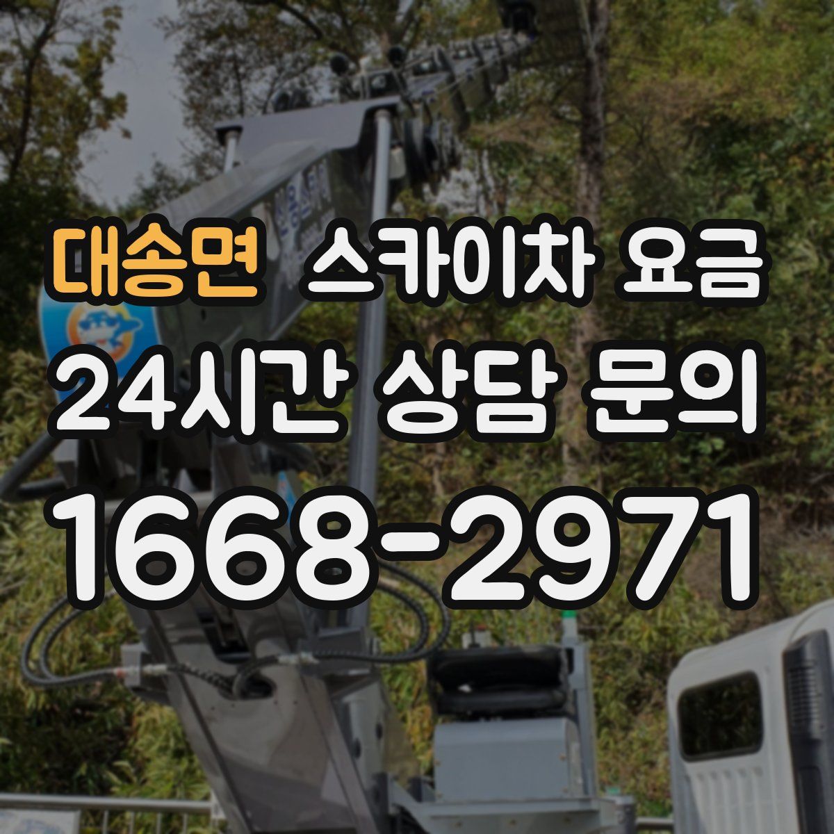 대송면 스카이차 요금