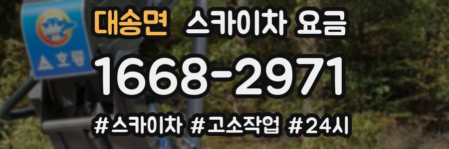 대송면 스카이차 요금