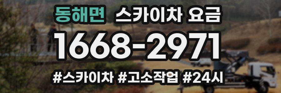동해면 스카이차 요금