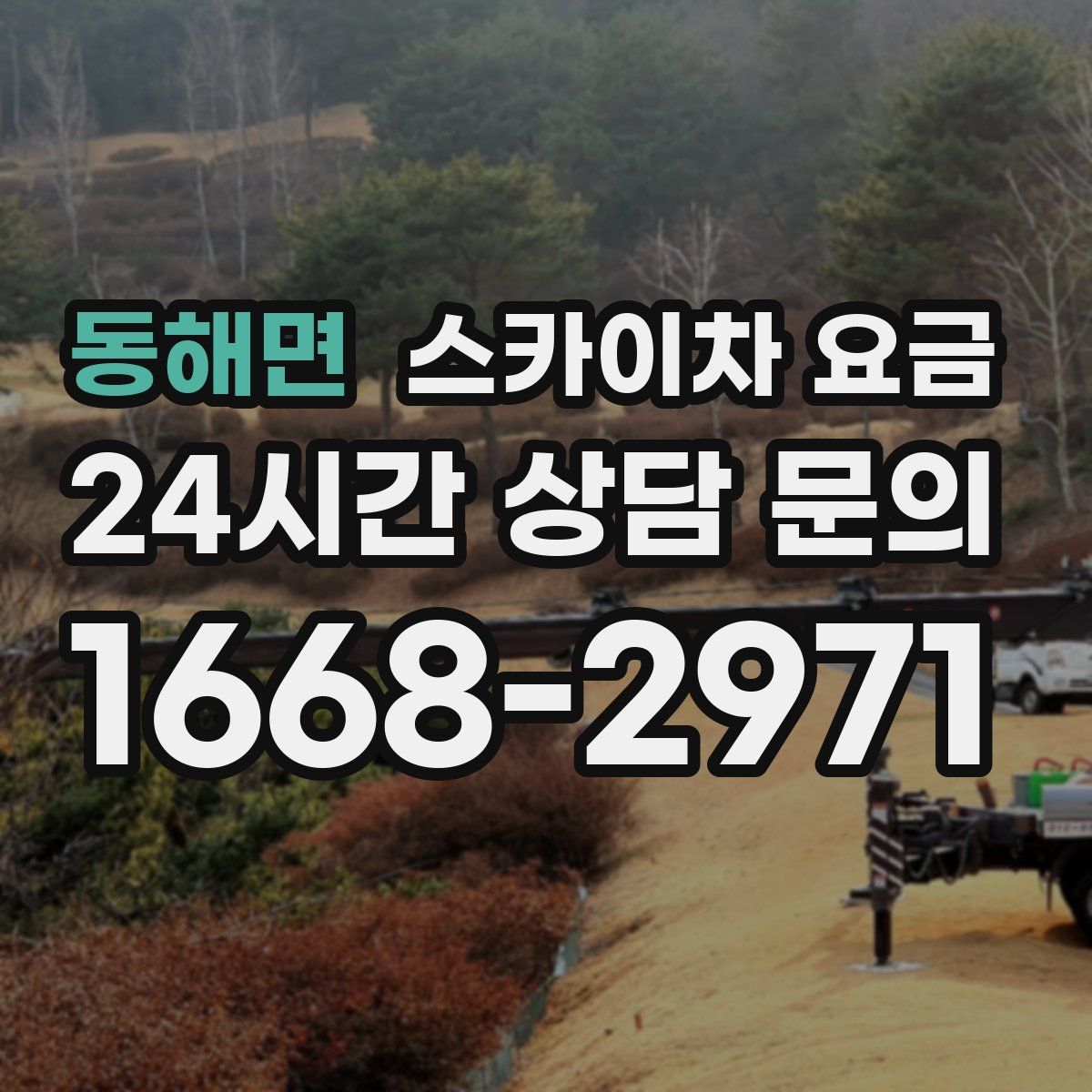 동해면 스카이차 요금
