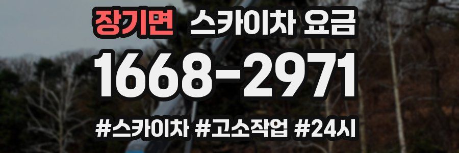 장기면 스카이차 요금