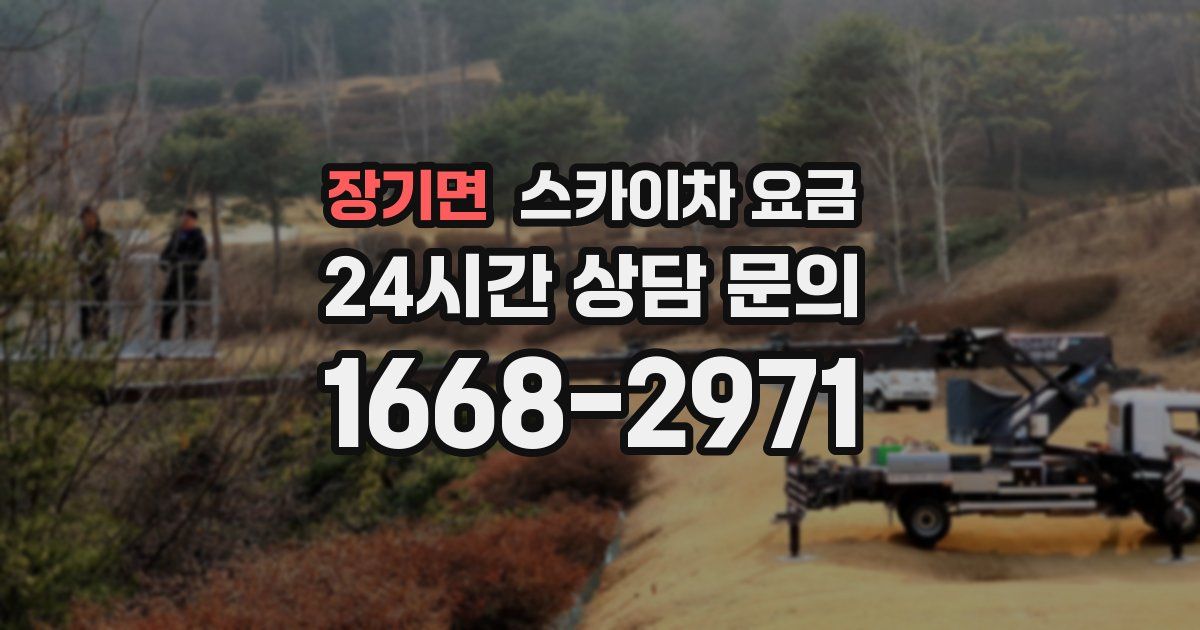 장기면 스카이차 요금