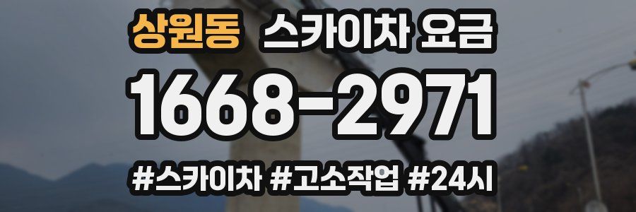 상원동 스카이차 요금