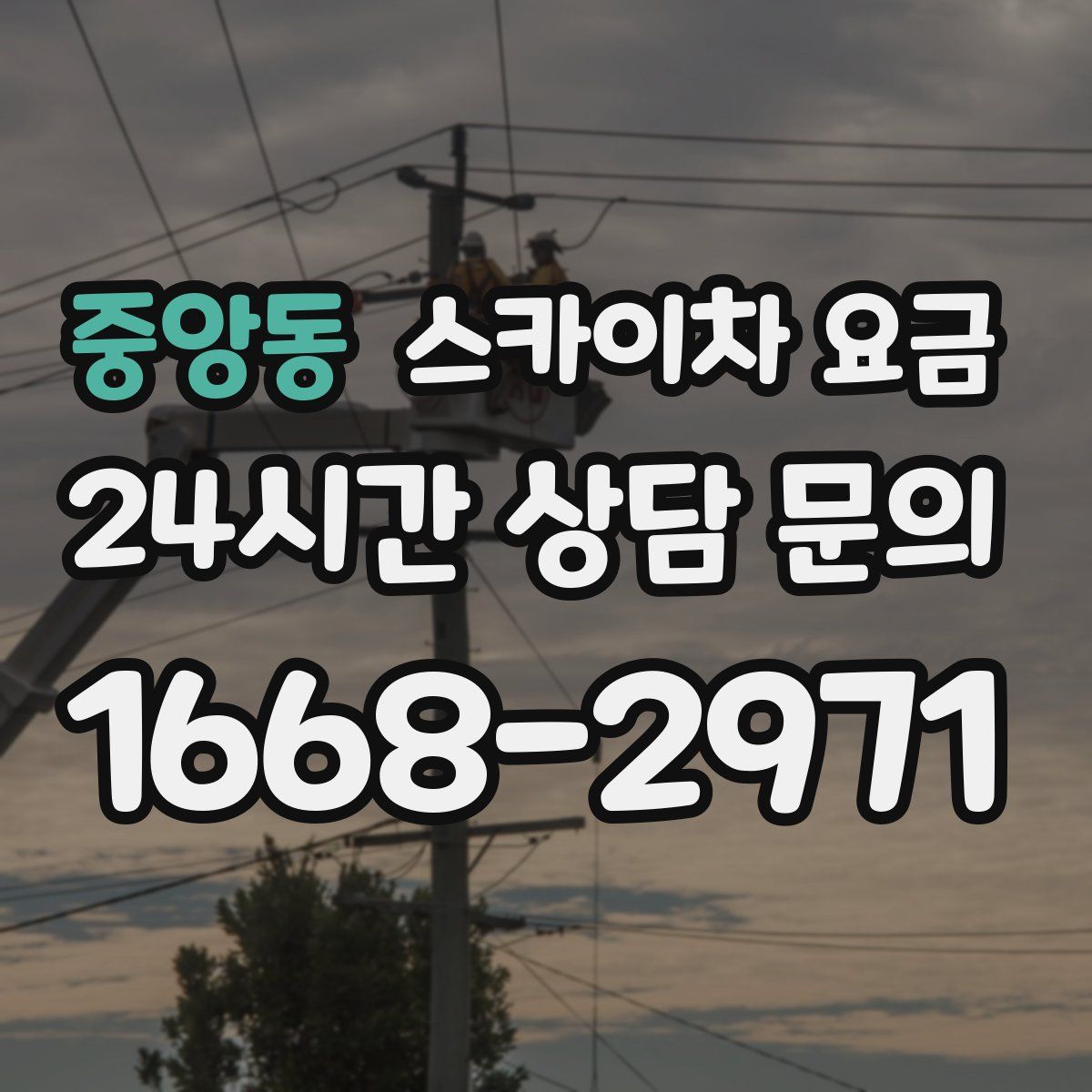 중앙동 스카이차 요금
