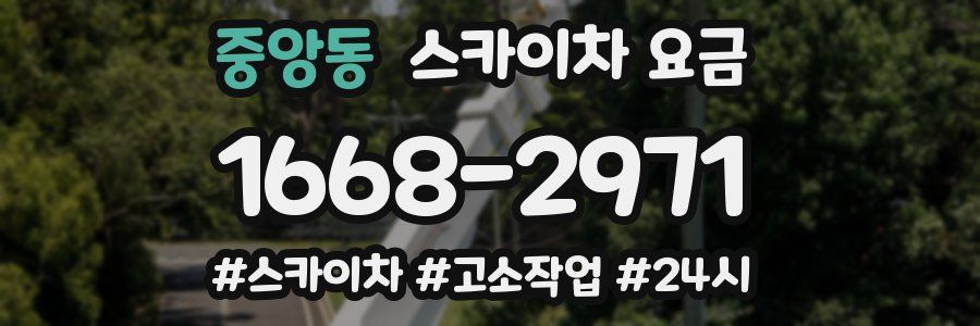 중앙동 스카이차 요금