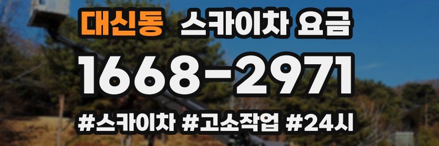 대신동 스카이차 요금