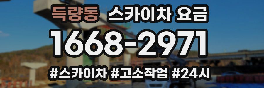 득량동 스카이차 요금