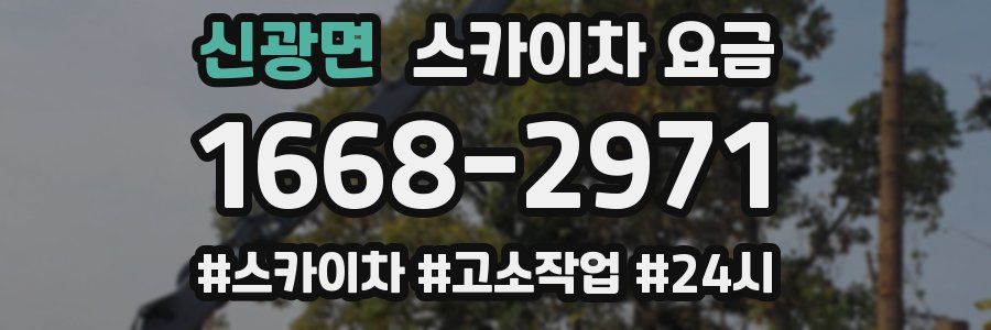 신광면 스카이차 요금