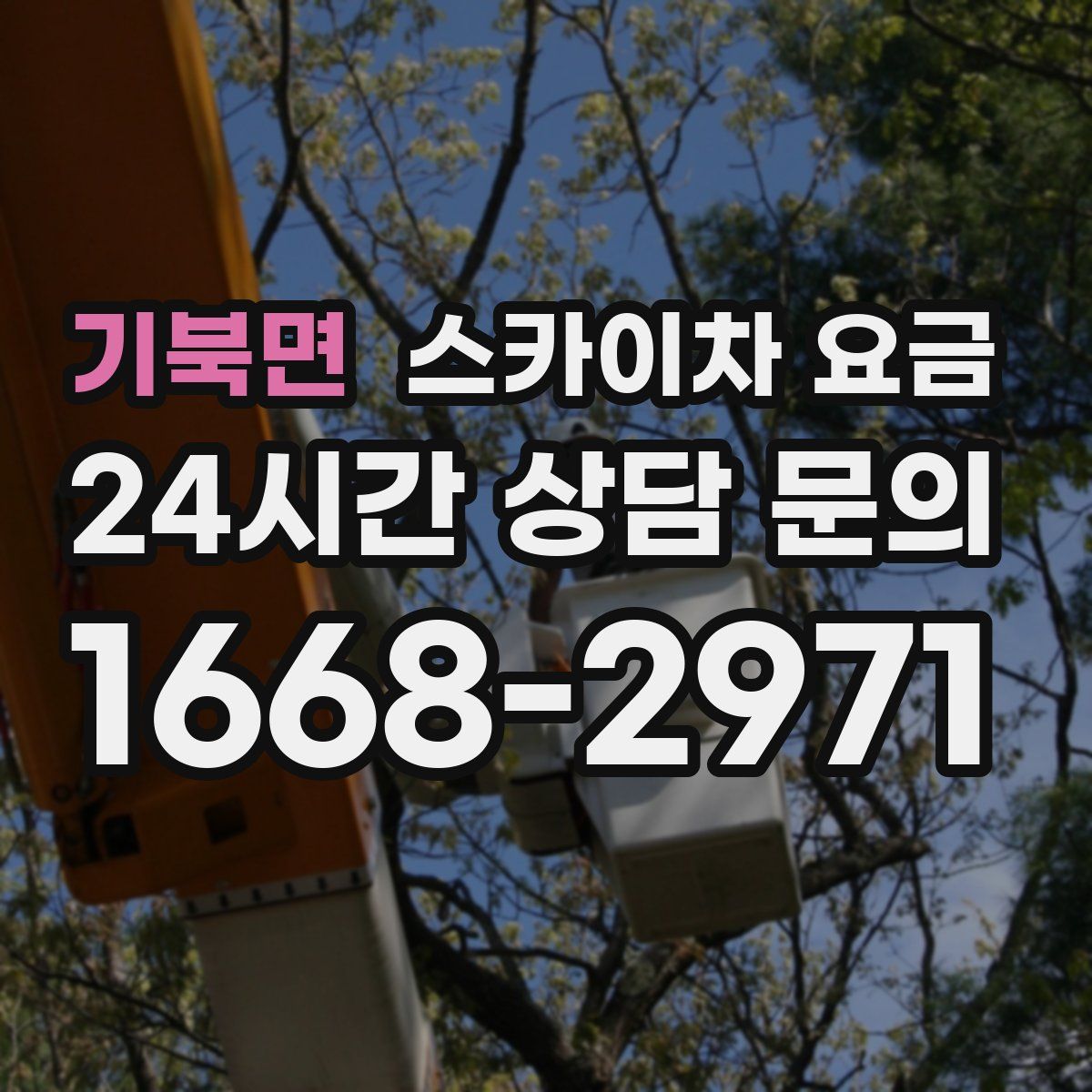 기북면 스카이차 요금