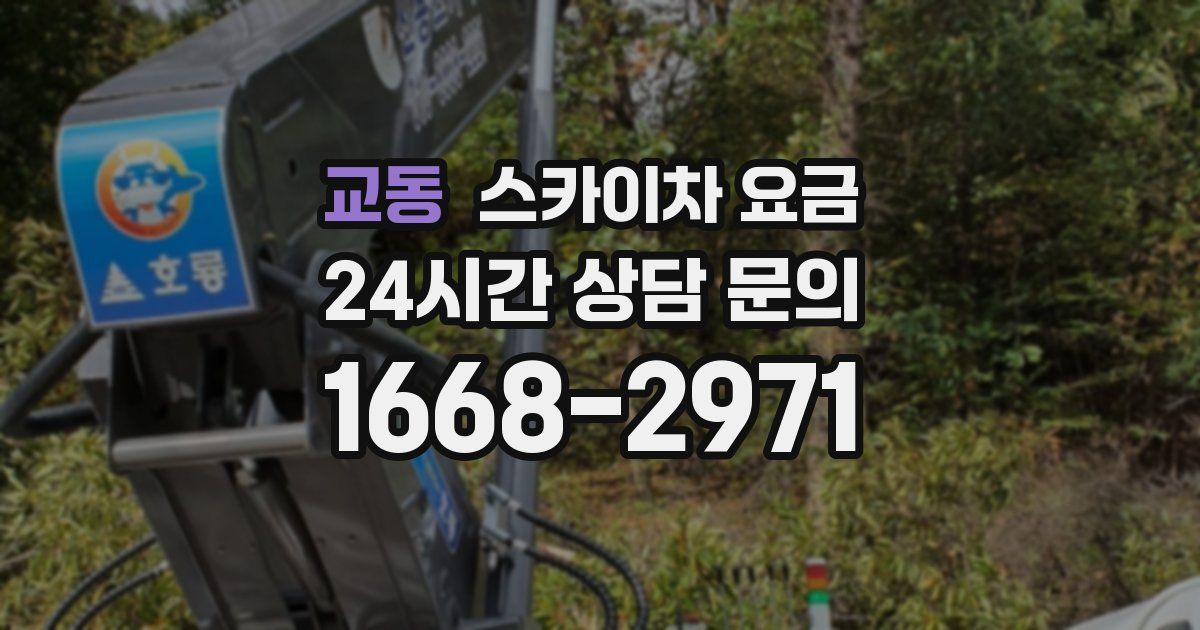 교동 스카이차 요금
