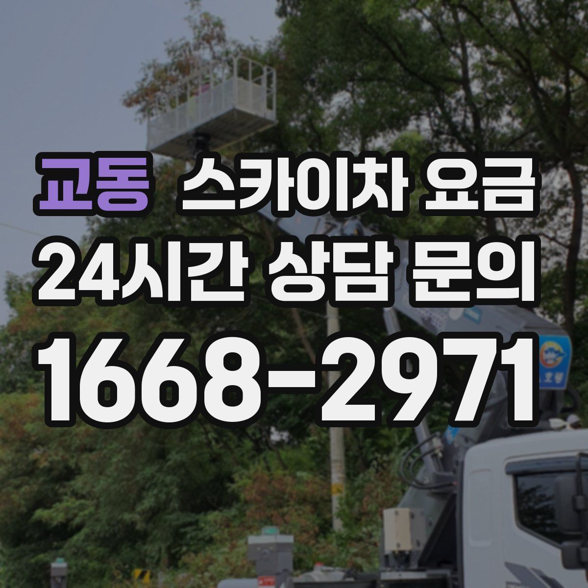 교동 스카이차 요금