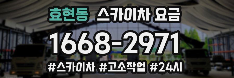 효현동 스카이차 요금
