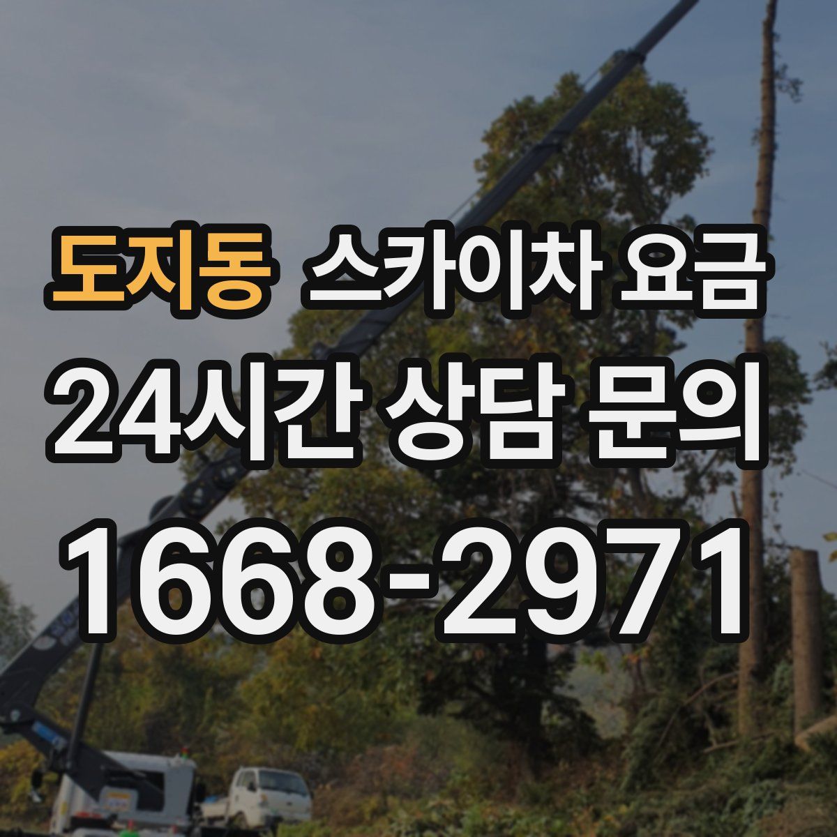 도지동 스카이차 요금