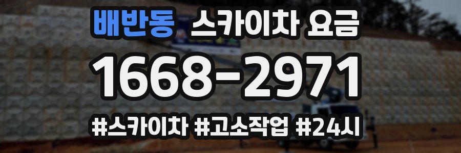 배반동 스카이차 요금