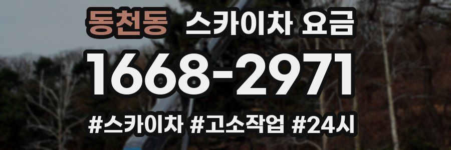 동천동 스카이차 요금