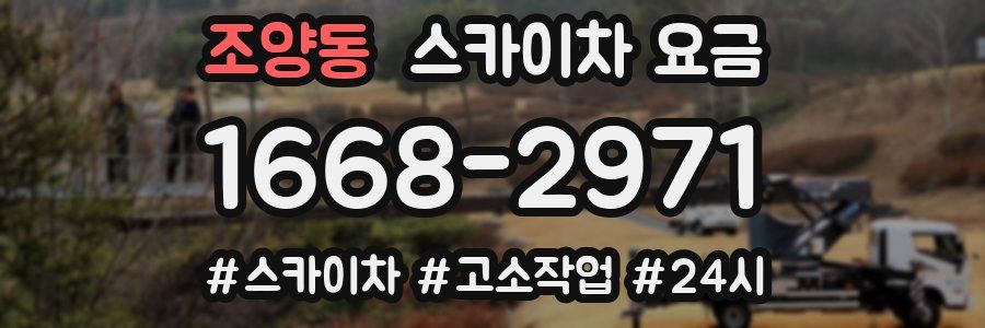 조양동 스카이차 요금