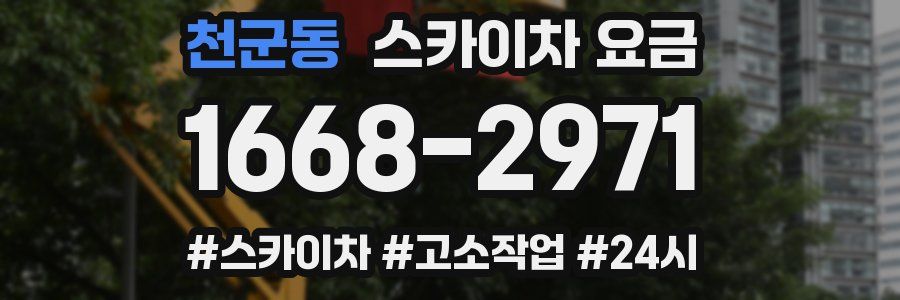 천군동 스카이차 요금