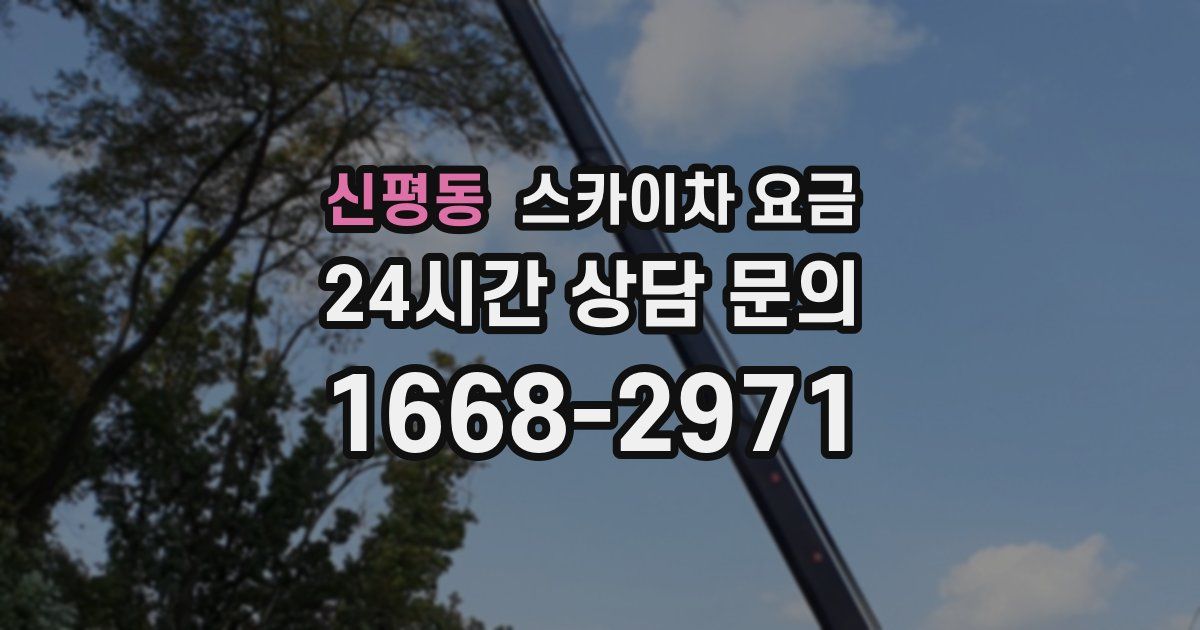 신평동 스카이차 요금