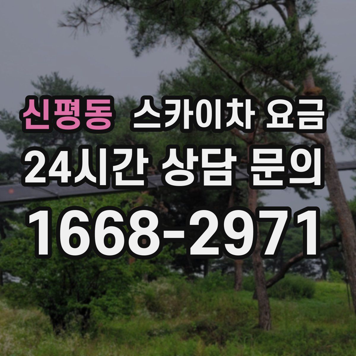 신평동 스카이차 요금