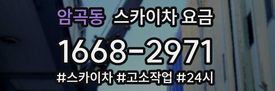 암곡동 스카이차 요금