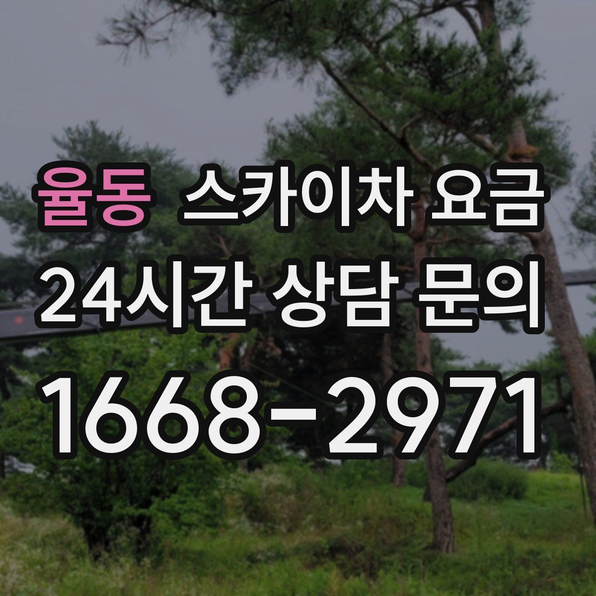 율동 스카이차 요금