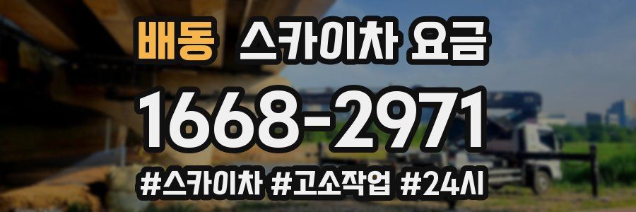 배동 스카이차 요금