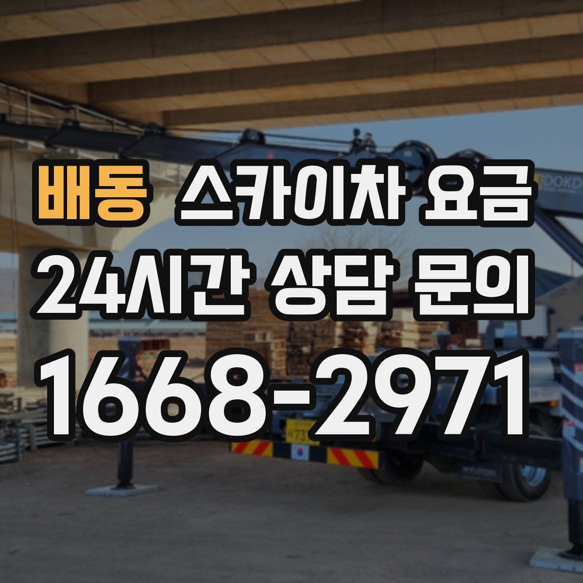 배동 스카이차 요금