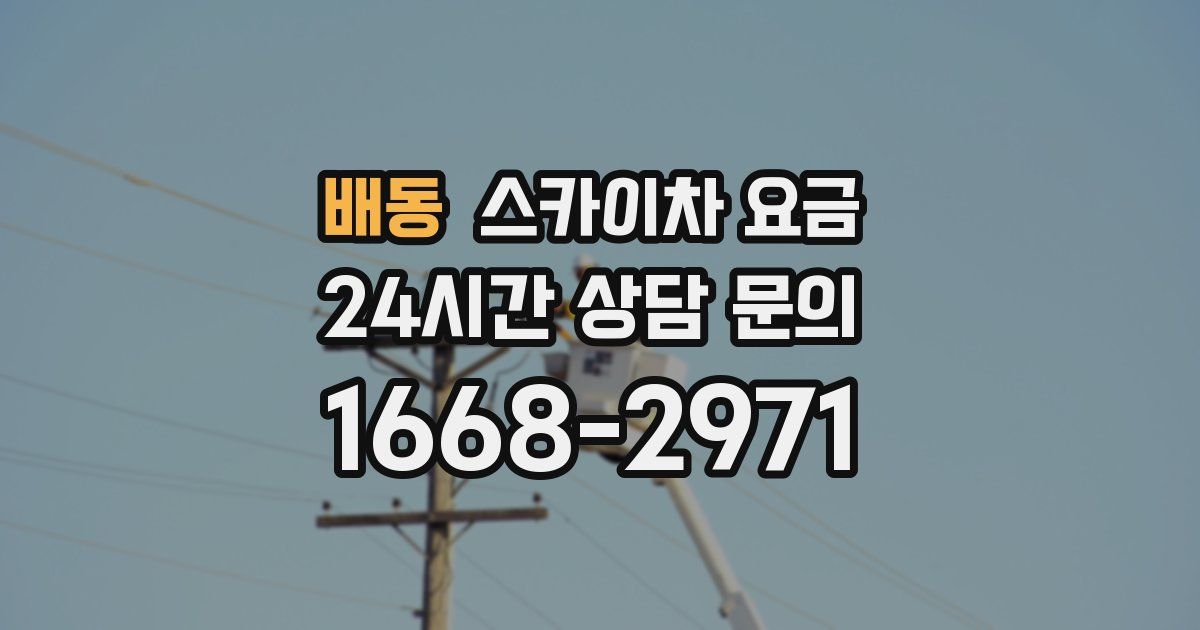 배동 스카이차 요금