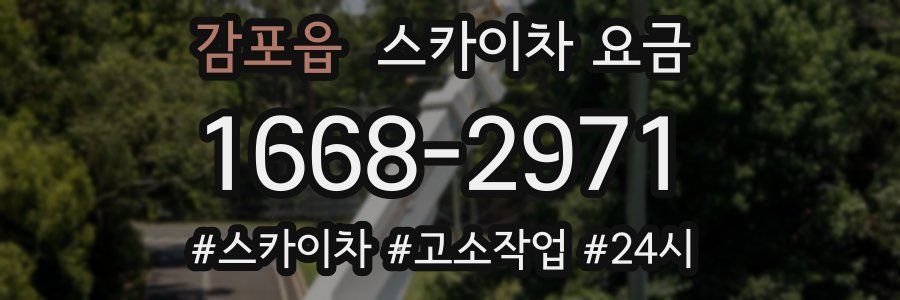 감포읍 스카이차 요금