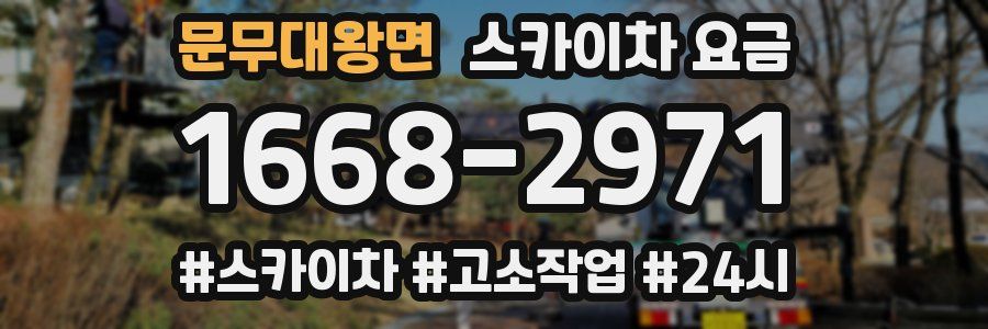 문무대왕면 스카이차 요금